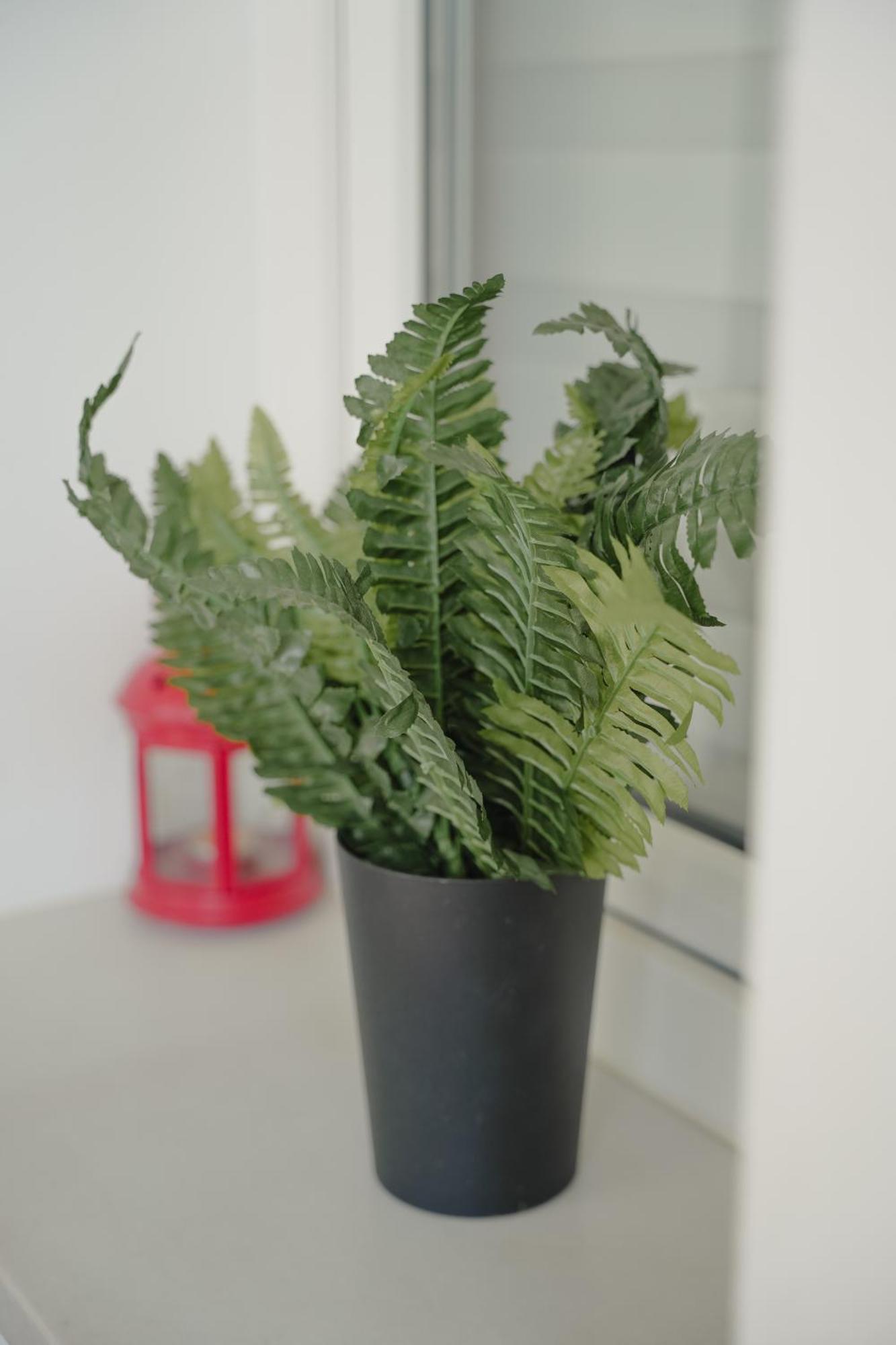 Apartment Lacustris *